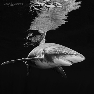 OWT with reflection by Ken Kiefer 